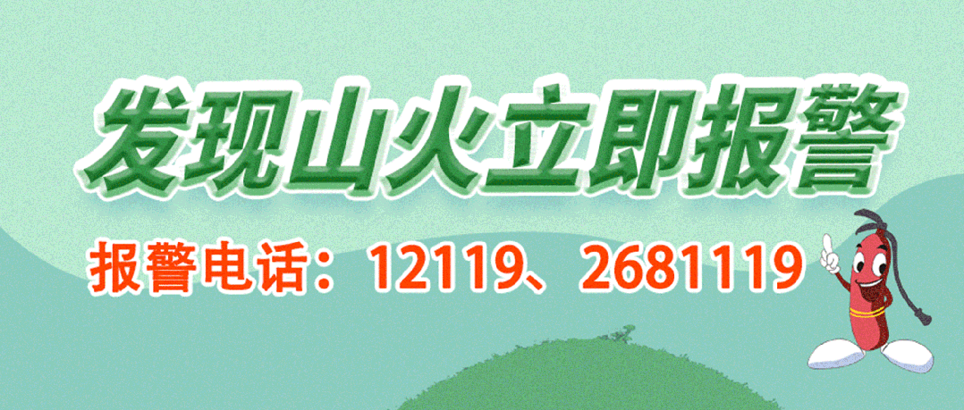 如何制定有效的篮球训练策略以提高球员表现_1